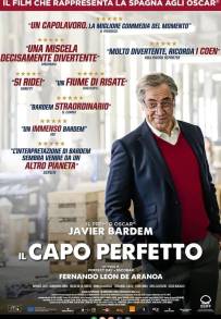 Il capo perfetto