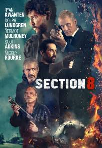 Sezione 8