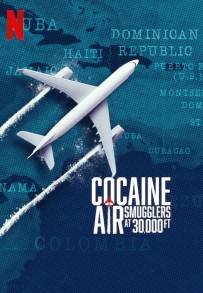 Il caso Air Cocaine