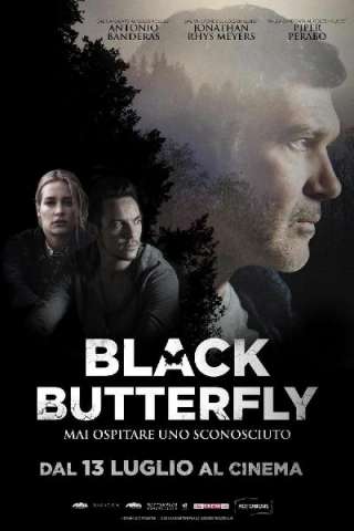 Black Butterfly
