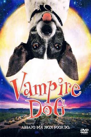 Vampire Dog