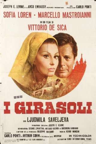 I girasoli