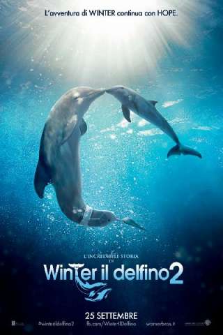 L'incredibile storia di Winter il delfino 2
