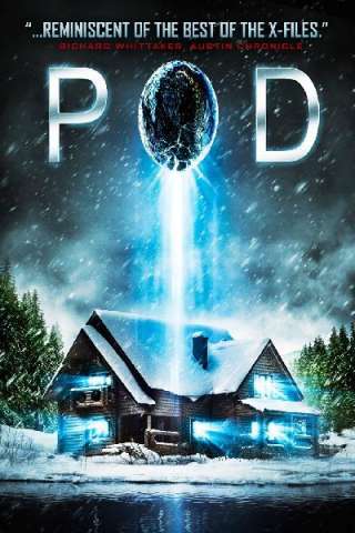 Pod