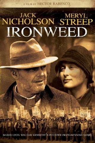 Ironweed
