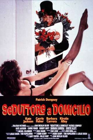 Seduttore a domicilio