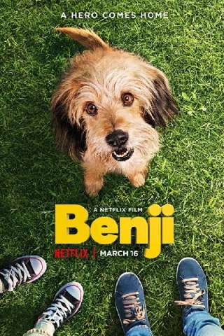 Beniamino - Benji