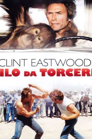 Filo da torcere