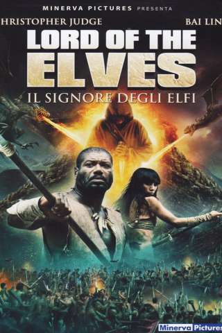 Il signore degli elfi