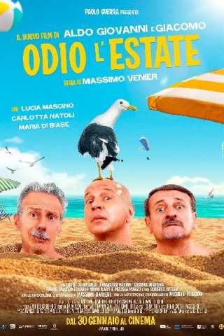 Odio l'estate