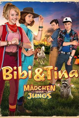 Bibi e Tina: Femmine contro maschi