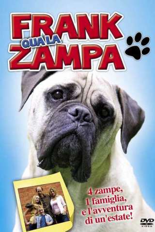 Frank qua la zampa