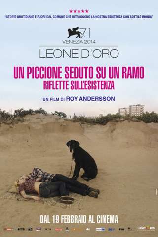 Un piccione seduto su un ramo riflette sull'esistenza