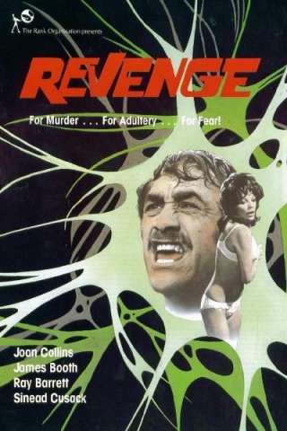 Revenge - Il passo dell'assassino