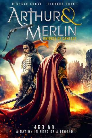 Arthur & Merlin: Knights of Camelot