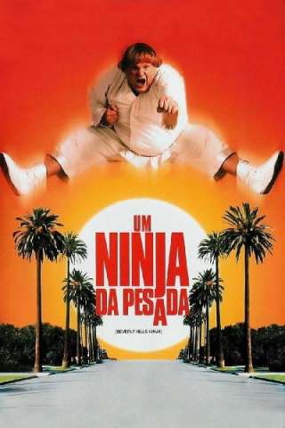 Mai dire ninja