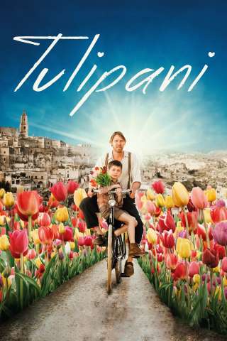 Tulipani - Amore, onore e una bicicletta