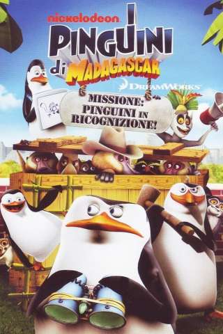 I pinguini di Madagascar - Missione: pinguini in ricognizione