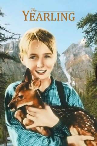 Il cucciolo