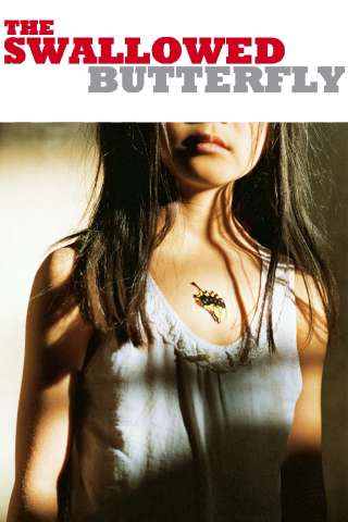 Swallowtail Butterfly
