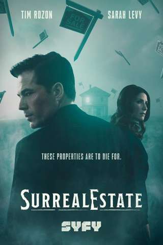 Agenzia Roman - Case infestate vendesi