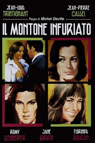 Il montone infuriato