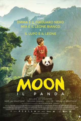 Moon il panda