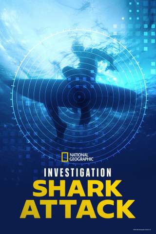 Investigation Shark Attack