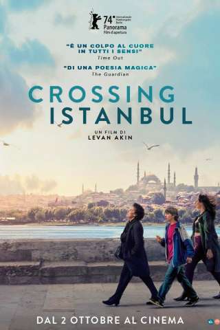 Crossing Istanbul