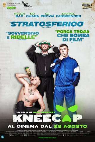Kneecap