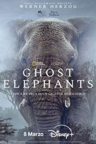 Ghost Elephants