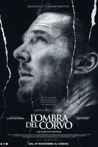 L'ombra del corvo