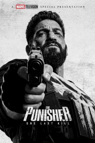 The Punisher: One Last Kill