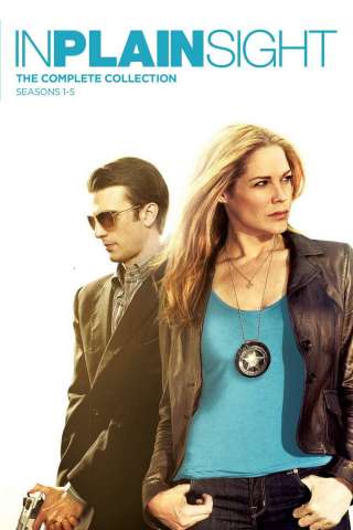 In Plain Sight - Protezione testimoni