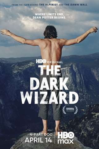 The Dark Wizard