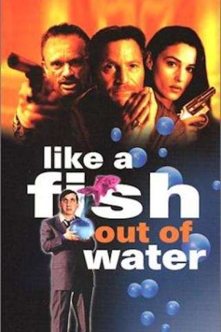 Come un pesce fuor d'acqua