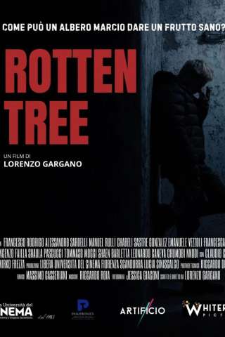 Rotten Tree
