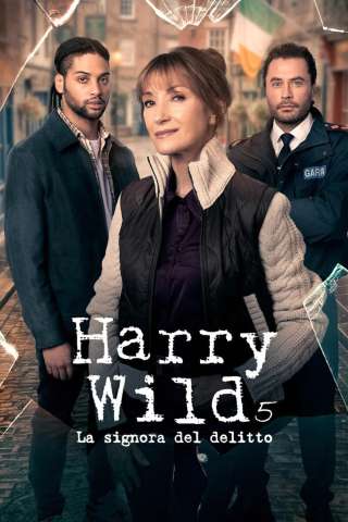 Harry Wild - La signora del delitto