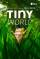 Tiny World