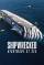 Costa Concordia: incubo in mare
